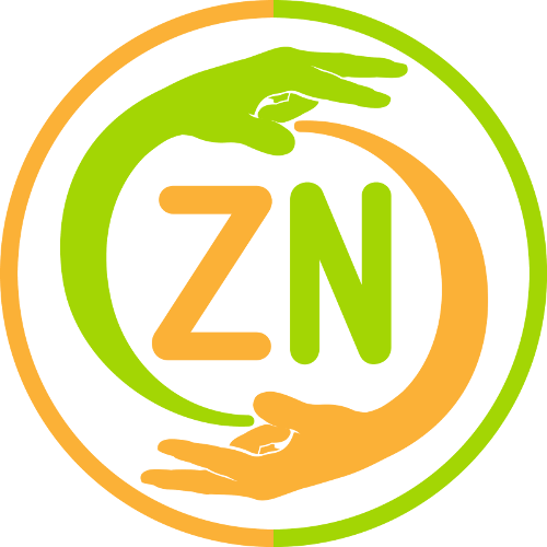 zn_logo_video
