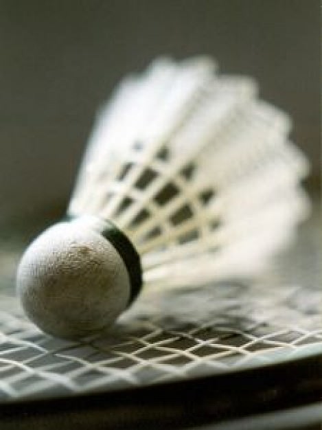 2013_05_06 Badminton
