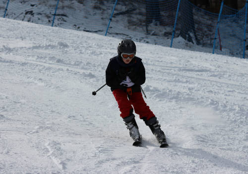 ski 10