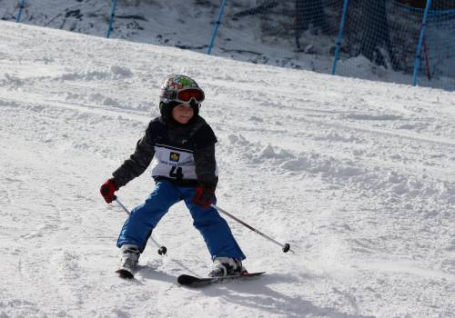 ski 19