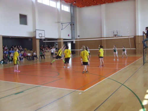 volejbal (2)