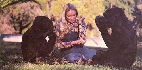 penny_koko_and_mike