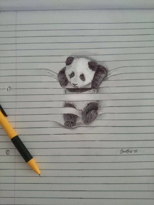 panda