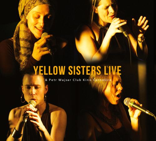 yellow sisters