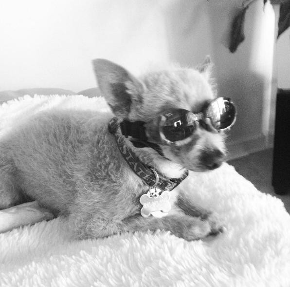 buster5