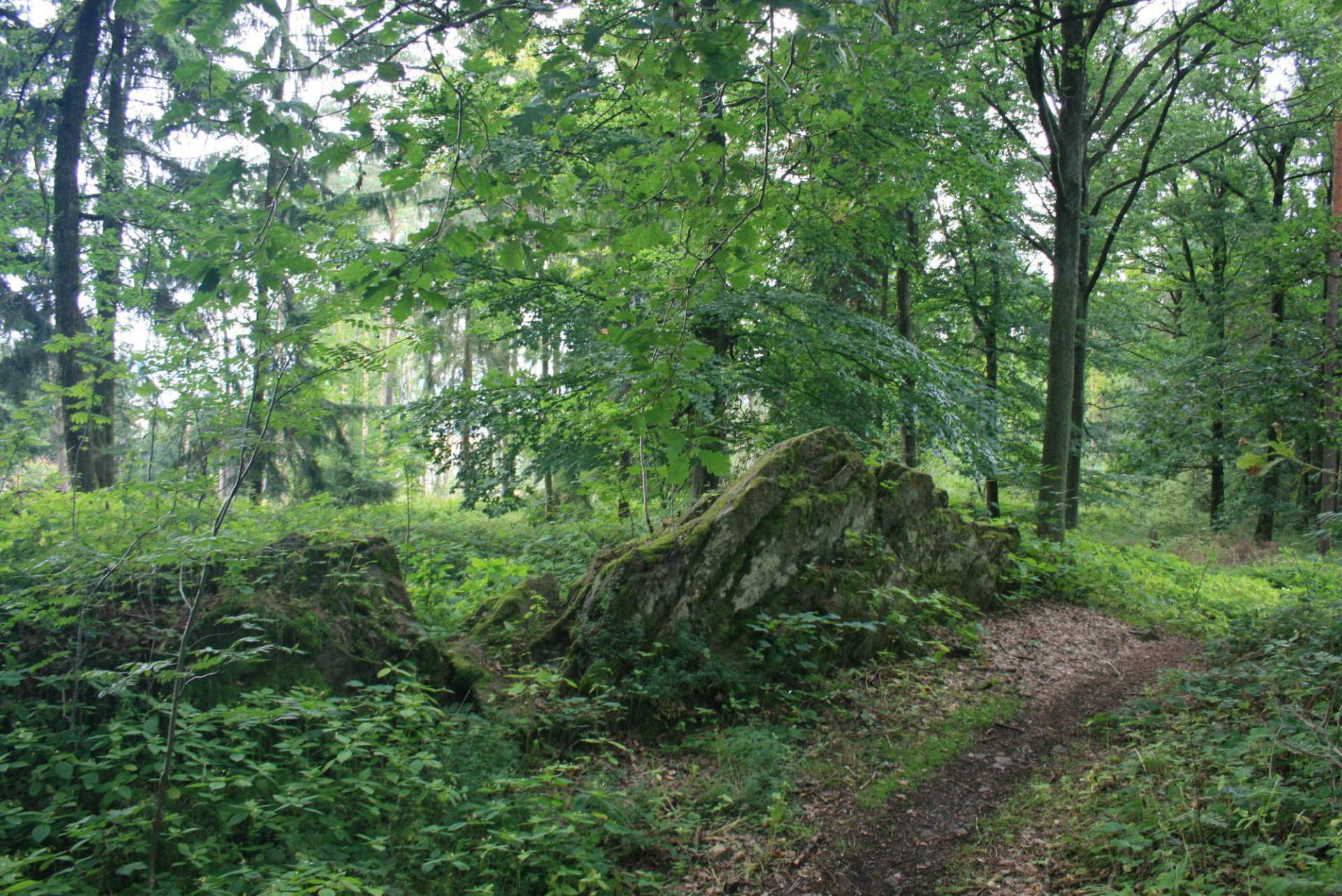 sobota
