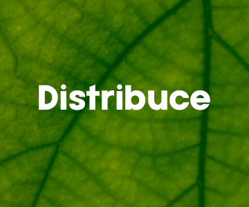 DISTRIBUCE – TICHÉ ZPRÁVY